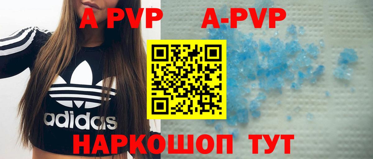 A PVP СК КРИС Бийск