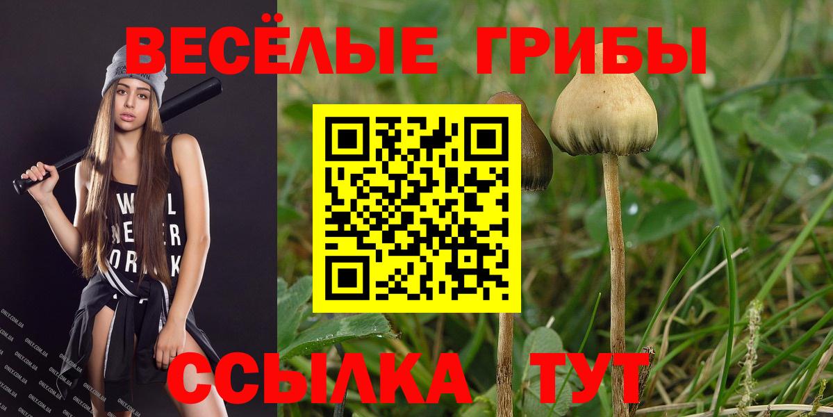 Галлюциногенные грибы Magic Shrooms Бийск
