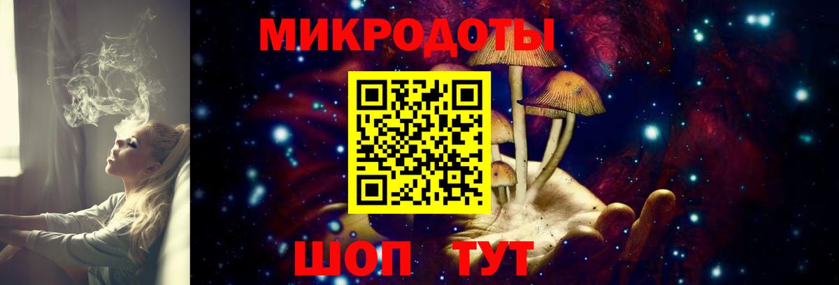 Бийск  цены   Вход с VPN  Псилоцибиновые грибы мицелий 