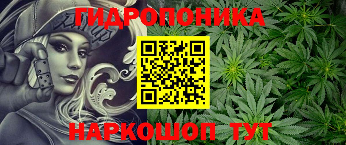 Бийск  Каннабис Bruce Banner  Каннабис семена  Марихуана AK-47  Вход с VPN  Бошки марихуана White Widow 